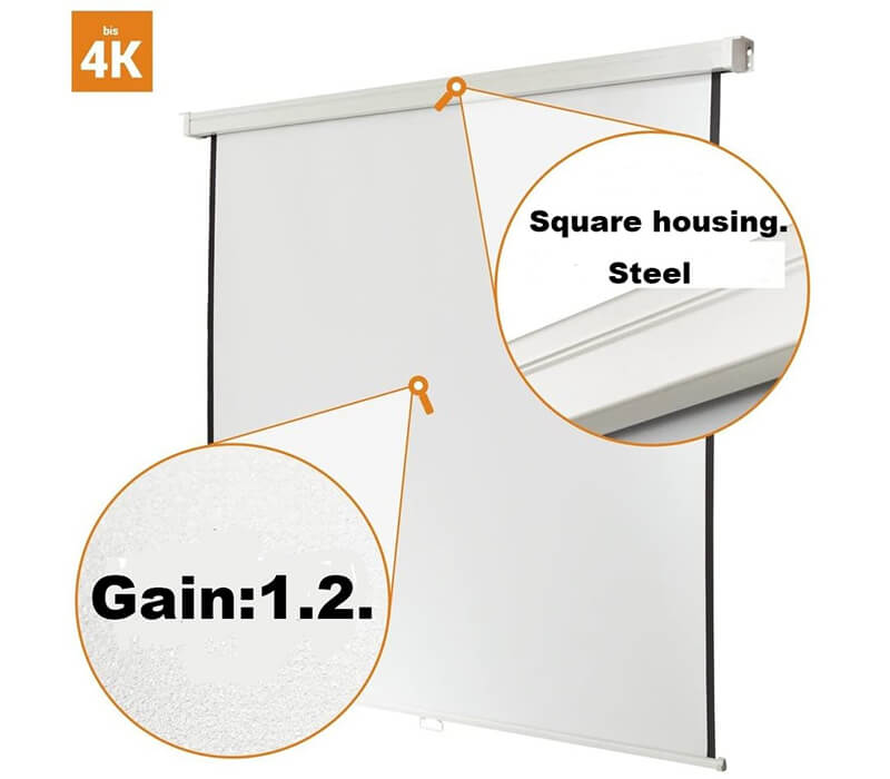 Professional Manual Screen (Basic)